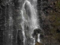 IMG_8198.jpg
