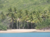 IMG_7761.jpg