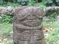 IMG_7872.jpg