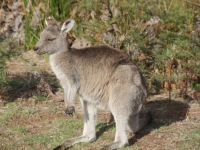 1310