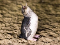 1510