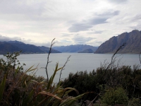 NZ-Southland0554.jpg