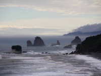 NZ-Southland0625.jpg