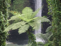 IMG_8775.jpg