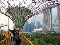 Singapur2470.jpg