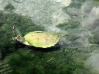 IMG_8880.jpg