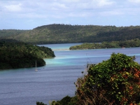IMG_8950.jpg